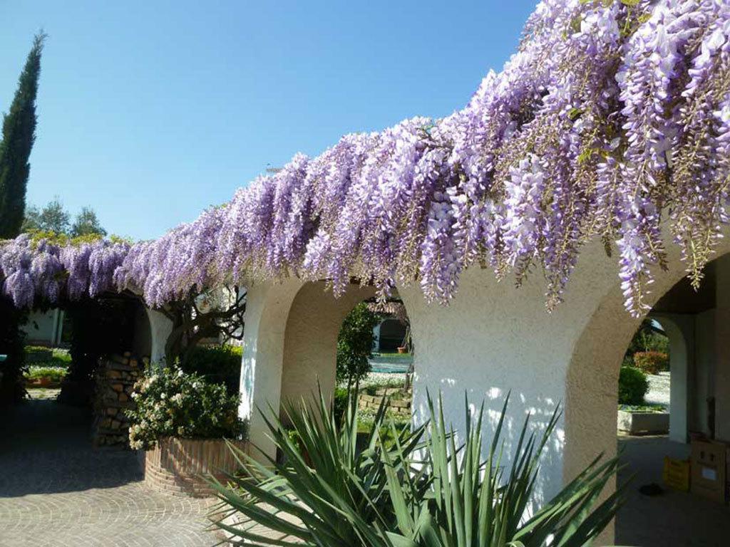 Villa Dolcevita San Costanzo Luaran gambar