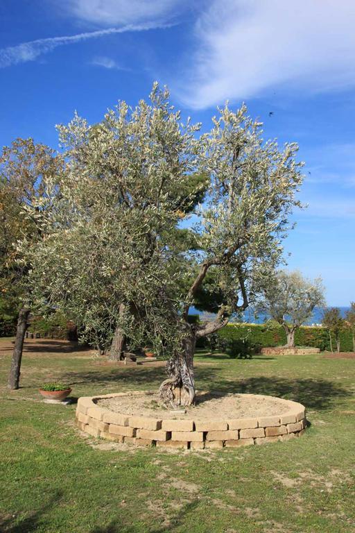 Villa Dolcevita San Costanzo Luaran gambar